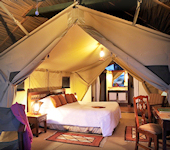 Sweetwaters tented camp, interieur van de tent op de evenaar in Kenia