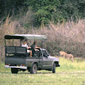 Tanzania Bush Experience Fly-in safari